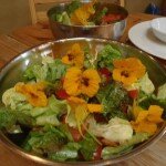 salade