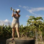 Building Earthship Style